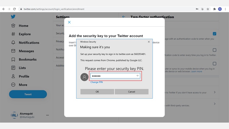 masukkan pin twitter Yubikey