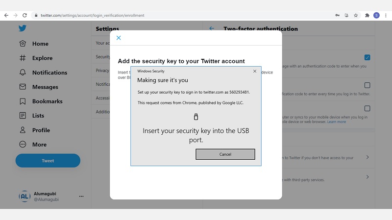 input perangkat twitter Yubikey